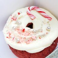 vegan xmas special at Doughnut Time - Manly in Manly