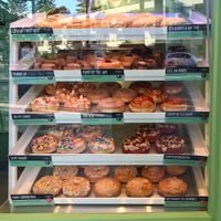 case at Doughnut Time - Manly in Manly