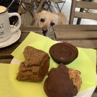   at Bottega Vegana in Modena