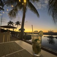   at Marker 88 in Islamorada