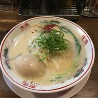 Vegan ramen noodles with optional added (non-vegan!) egg at Shugetsu in Osaka
