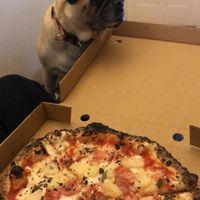   at Red Sparrow Pizza in Collingwood