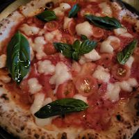  at Red Sparrow Pizza in Collingwood