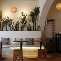 Interior with several plants at Casablanca Sandwicherie - 카사블랑카 샌드위치 in Seoul