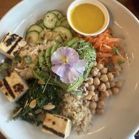 The yummy Macro Bowl with added grilled tofu and turmeric  -ginger dressing on the side.  at Lila in Sarasota
