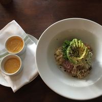 Macro Bowl with Tahini Dressig at Lila in Sarasota