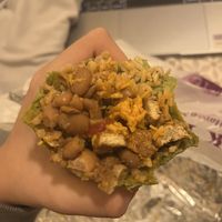 vegan grilled chicken burrito  at Bushwick Pita Palace in Brooklyn