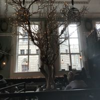 Beautiful! at Mowgli - Water St in Liverpool