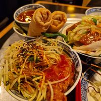 Wing at 1990 Vegan Living in Berlin