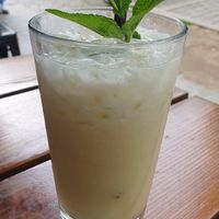  at 1990 Vegan Living in Berlin