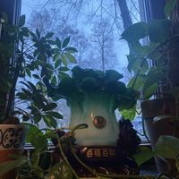   at 1990 Vegan Living in Berlin