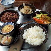 Bowl Selection at 1990 Vegan Living in Berlin