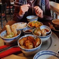 Fresh fried spring rolls, tofu and veggies, fried tofu in sesame at 1990 Vegan Living in Berlin