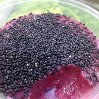 Black sesame pudding. at Vegan Yes - Nag's Head Market in North London