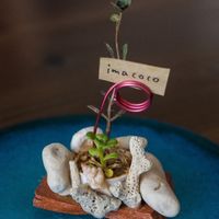 "Imacoco" means "here, now" in Japanese :) at Imacoco in Okinawa