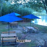 Sea Star, seating area  at Sea Star Cafe in Chincoteague
