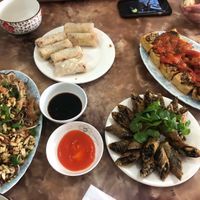 Best food we had in Vietnam. The 2 plates rolls were the ‘small’ serving size! And some are already missing from the top plate when I took this photo at An Lac in Ninh Binh