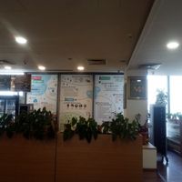 Vegan road-map at Veganland - Karlovo Namesti in Prague