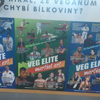 Pictures of vegan athletes at Veganland - Karlovo Namesti in Prague