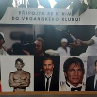 Vegan celebrities at Veganland - Karlovo Namesti in Prague