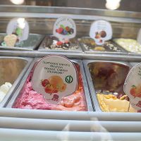 A good, tasty selection of vegan gelato... all clearly marked with the green circled V at Bohotis Gelateria Patisserie in Corfu
