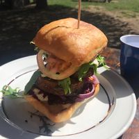 Vegan falafel burger  at Sandfly Cafe in Te Anau