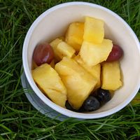 Fruit cup at Even Stevens Sandwiches in Logan