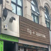   at Fig and Sparrow in Manchester