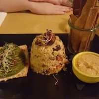 Starter at Gorilla in Turin