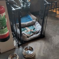 Dog bed at Kaffabar in Brussels