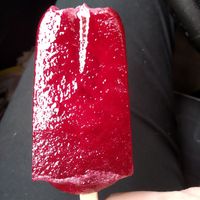 Ghiacciolo at Il Gelato Amico - Principi d'Acaja in Turin