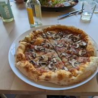 A mushroom pizza  at Veganel in Nuremberg