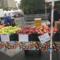 Apples Union Square Market. at Farmer's Market - Union Square in New York City