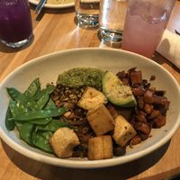 Ancient Grains Bowl  at True Food Kitchen in Fairfax