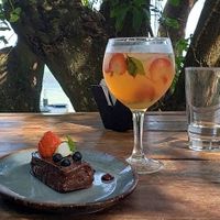Raspberrie Basil Drink, Vegan Milkshake, and Vegan Chocolate Cake! at La Playita in Bacalar