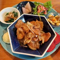 Soy meat at Karakoma in Morioka