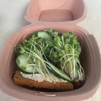 hummus sandwich at Delicious Raw Kitchen and Juice Bar - maybe close in Estero