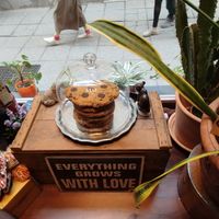 Giant cookies at Karu Talu Šokolaad  in Tallinn