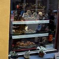 Outside the bakery  at Karu Talu Šokolaad  in Tallinn