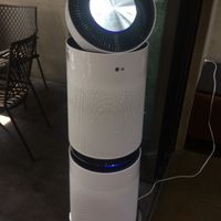 It’s a good size for the size of the cafe!  at Moomoo Burger & Smoothie in Busan