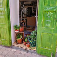 utcafront  at Vital Cafe & Bistro  in Gyor