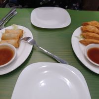 spring rolls and fried dumplings at Lotus Vegan Cuisine in Glasgow