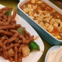  at Lotus Vegan Cuisine in Glasgow