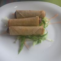 Spring rolls at Lotus Vegan Cuisine in Glasgow