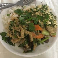 delicious buffet food at Khouadin Vegetarian in Vientiane