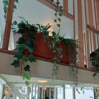  at Le Myrha in Paris