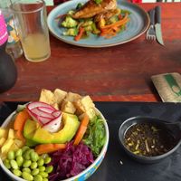Tofu poke bowl  at Lazy Cat in Minca