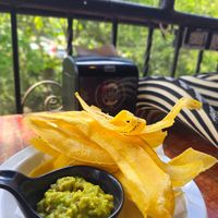  at Lazy Cat in Minca