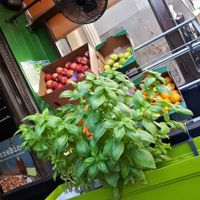 Fruits  at Pizzebio in Paris