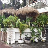 Nice place at Cafe Organic in Kerobokan Kelod